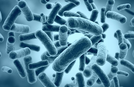 Chlamydia & Gonorrhoea Home Test Kit UK