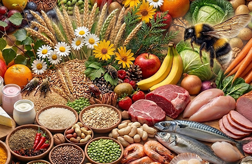 Total Allergy Profile Home Test Kit UK Total Allergy Profile Home Test Kit UK